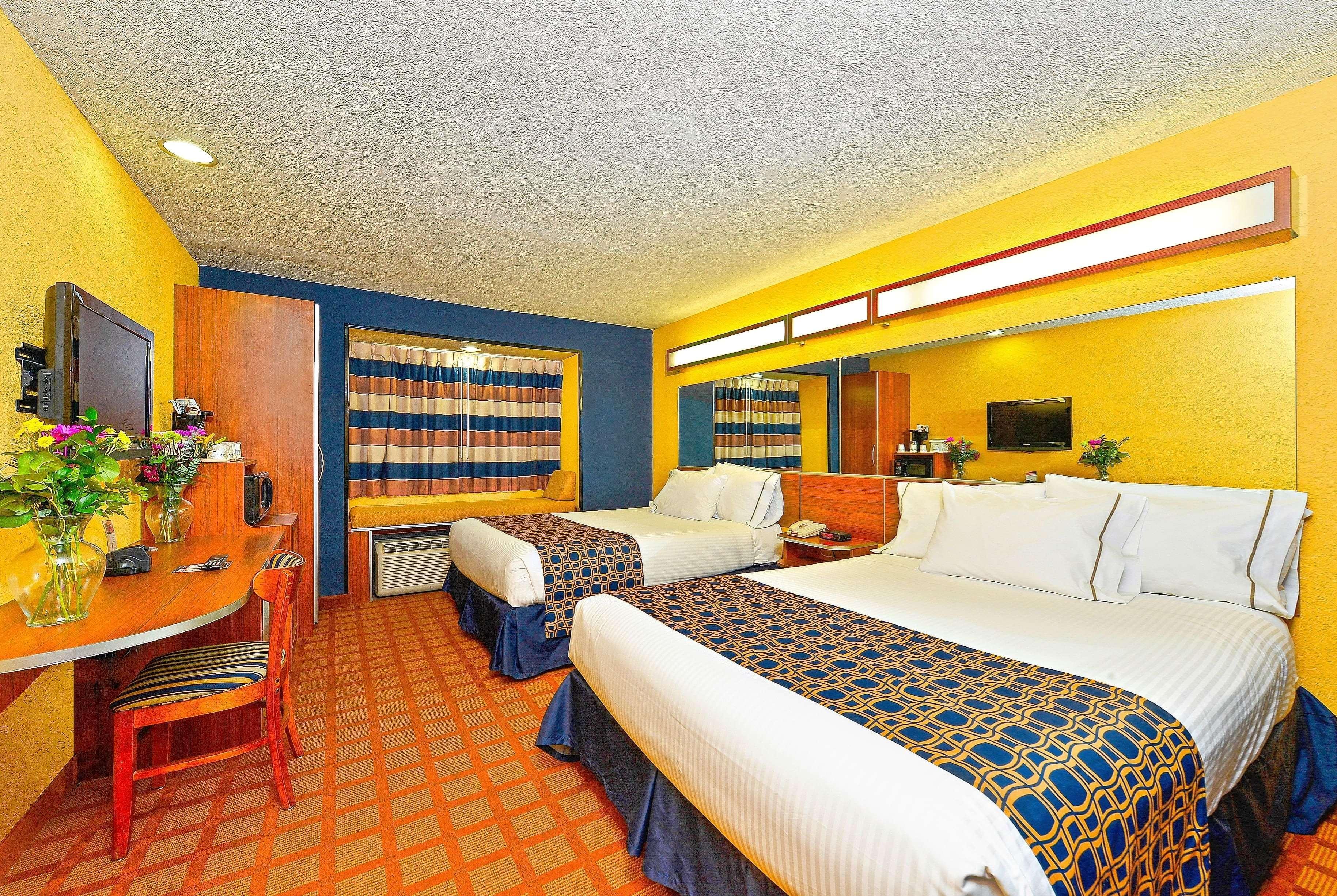 Microtel Inn & Suites By Wyndham New Braunfels I-35 Bagian luar foto